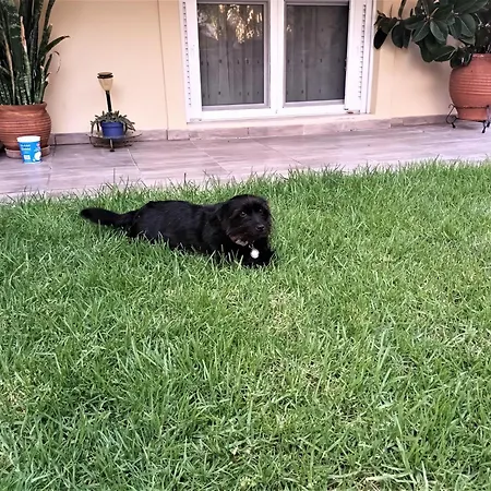 Family Yard House Apartmán