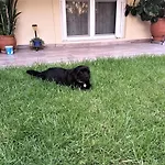 Family Yard House Appartamento